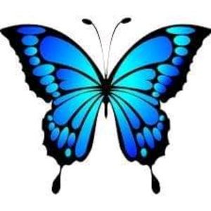 Meet your Posher, Suzy